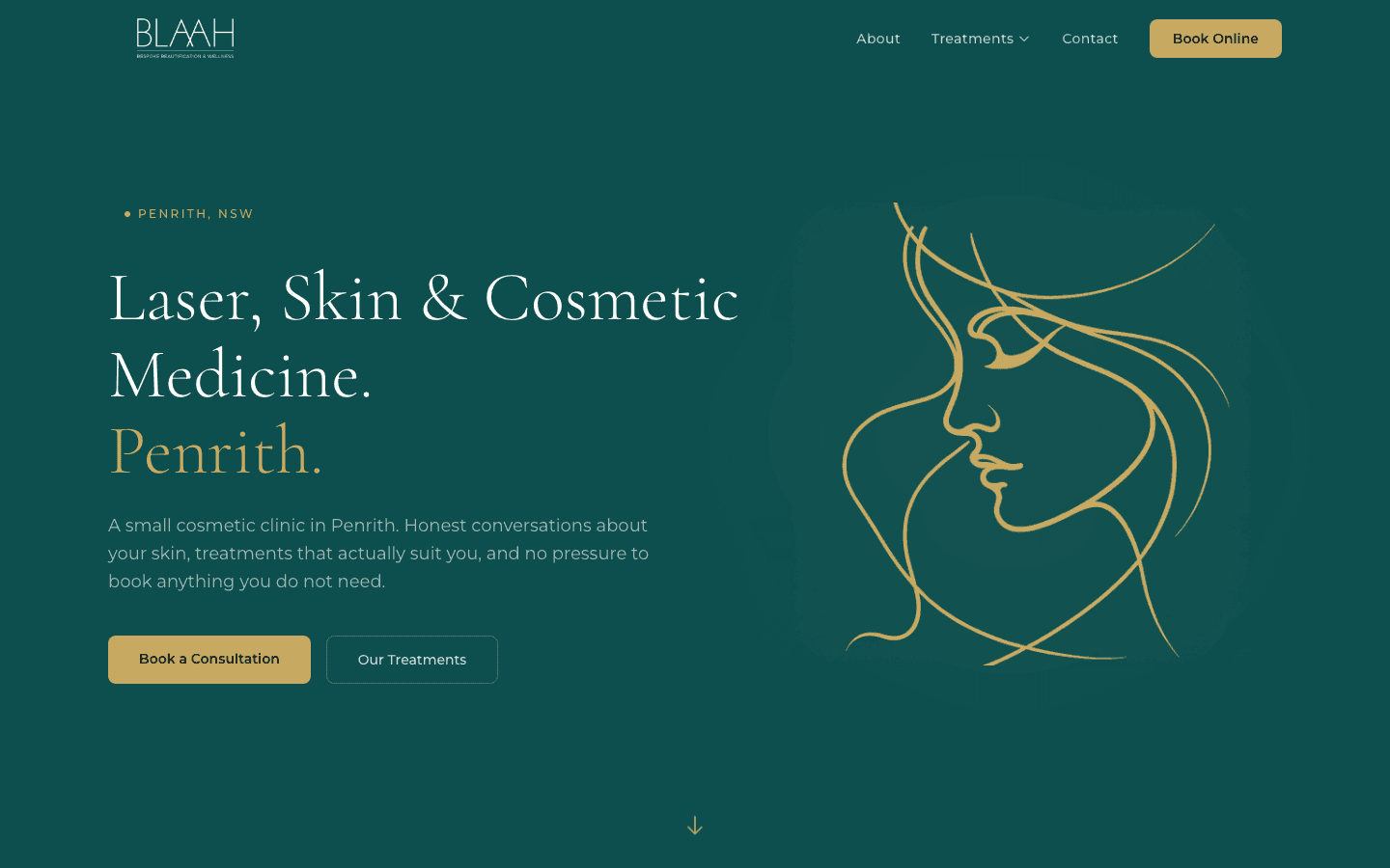 Blaah website built by LUNA Systems